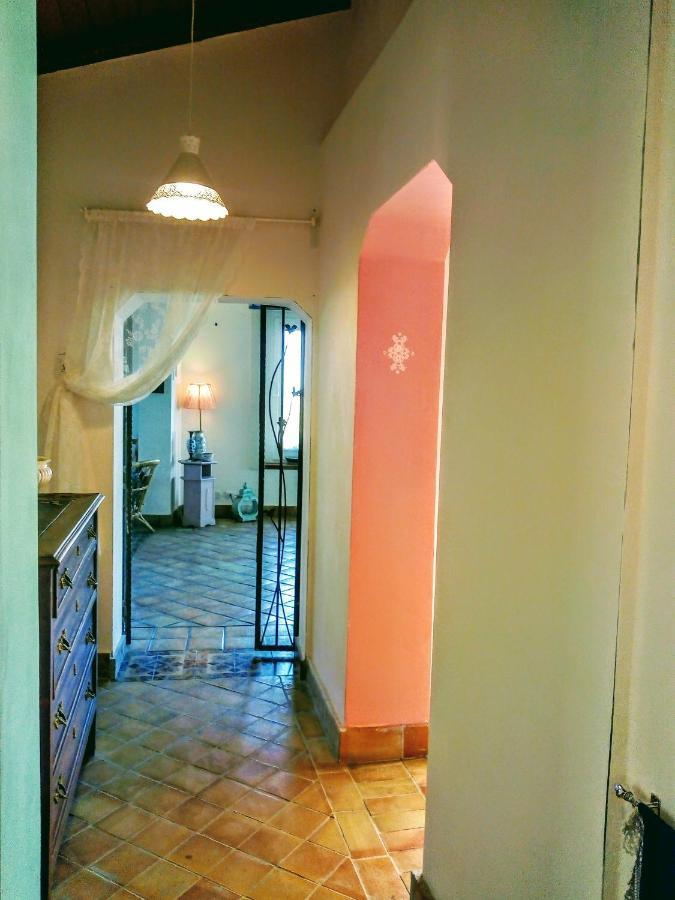 Villa Immersa In Oliveto Vista Mare シャッカ エクステリア 写真