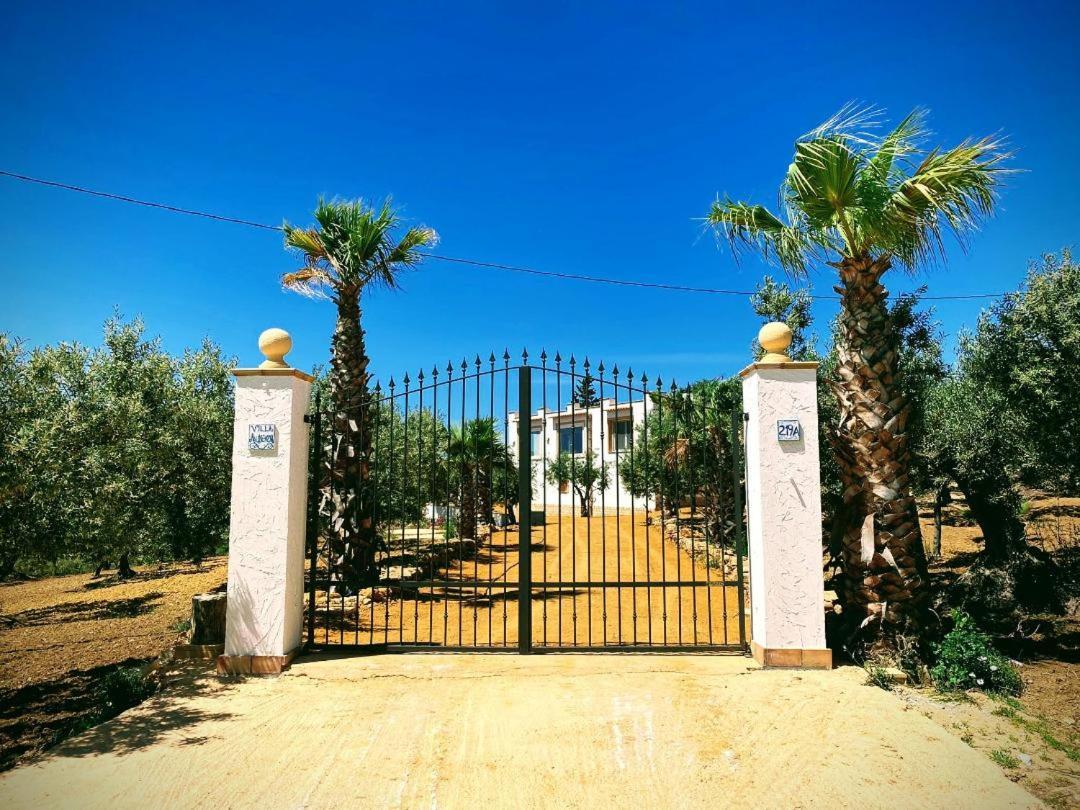 Villa Immersa In Oliveto Vista Mare シャッカ エクステリア 写真
