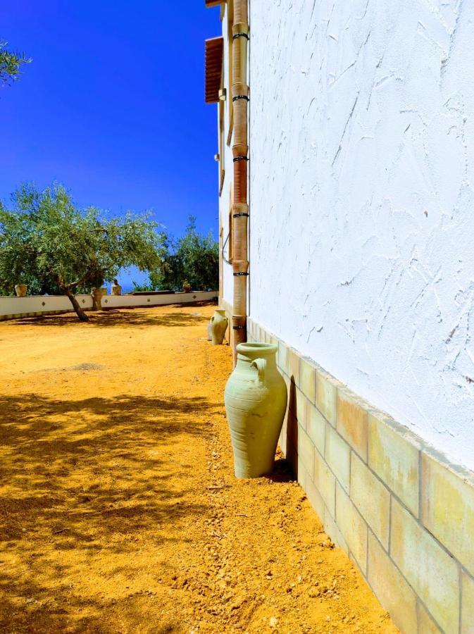 Villa Immersa In Oliveto Vista Mare シャッカ エクステリア 写真