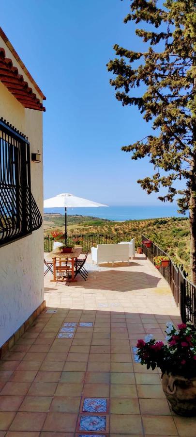 Villa Immersa In Oliveto Vista Mare シャッカ エクステリア 写真
