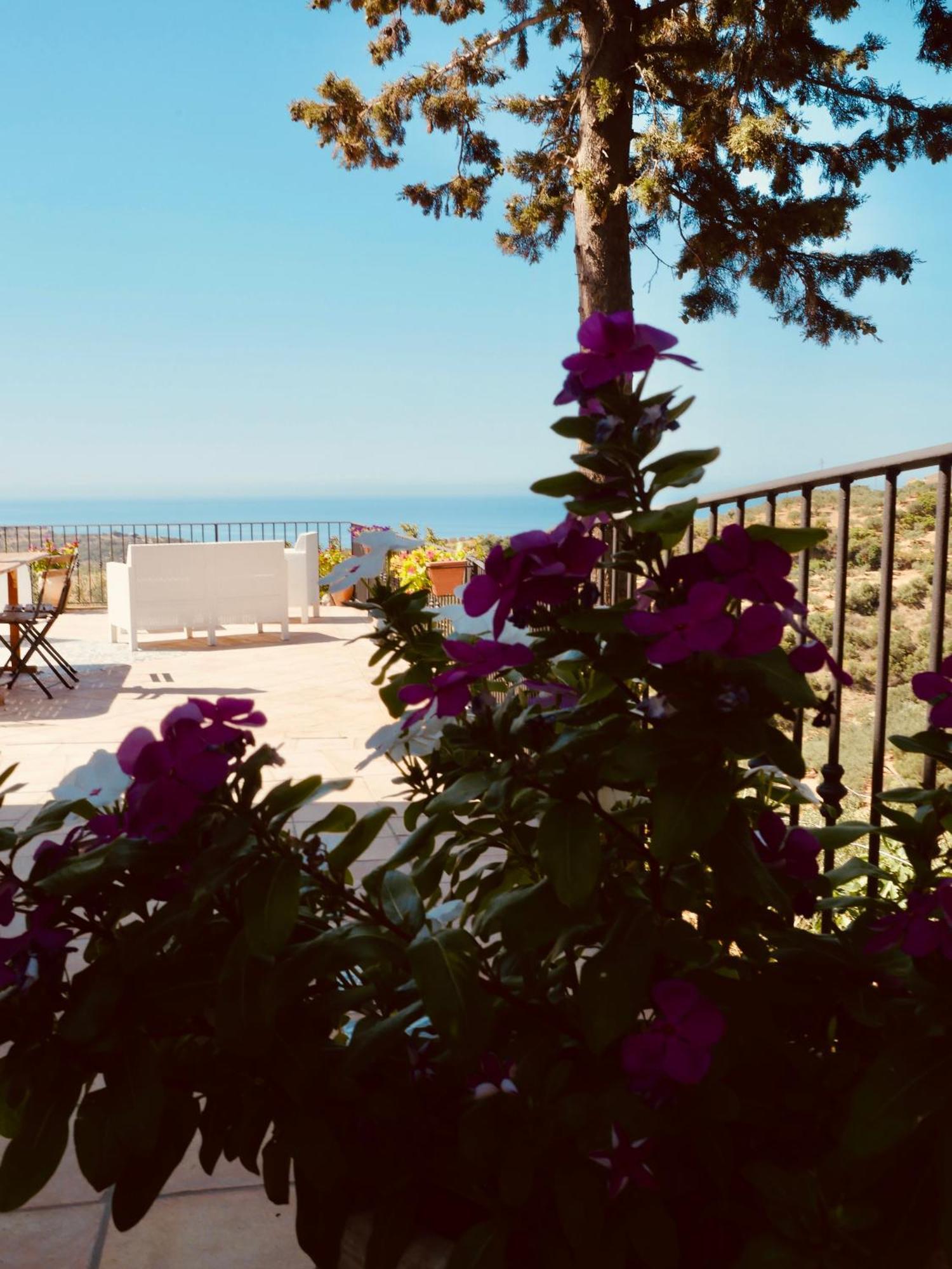 Villa Immersa In Oliveto Vista Mare シャッカ エクステリア 写真