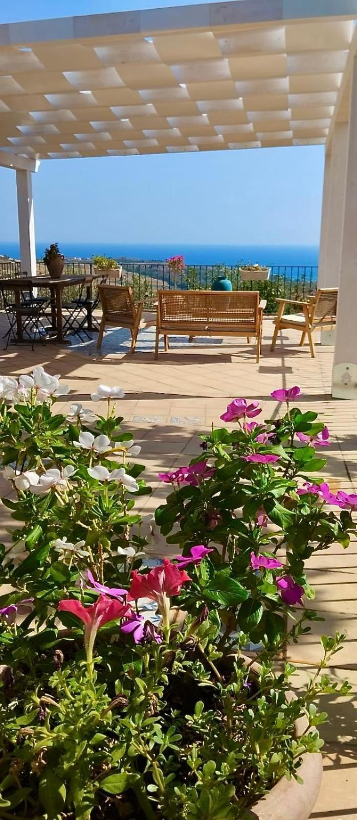 Villa Immersa In Oliveto Vista Mare シャッカ エクステリア 写真